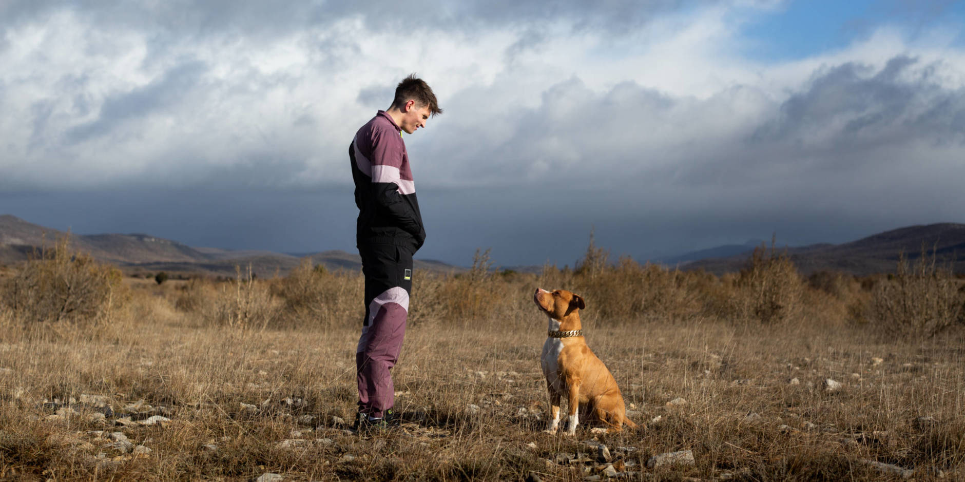Chien de la casse — Cinéma l’Horloge